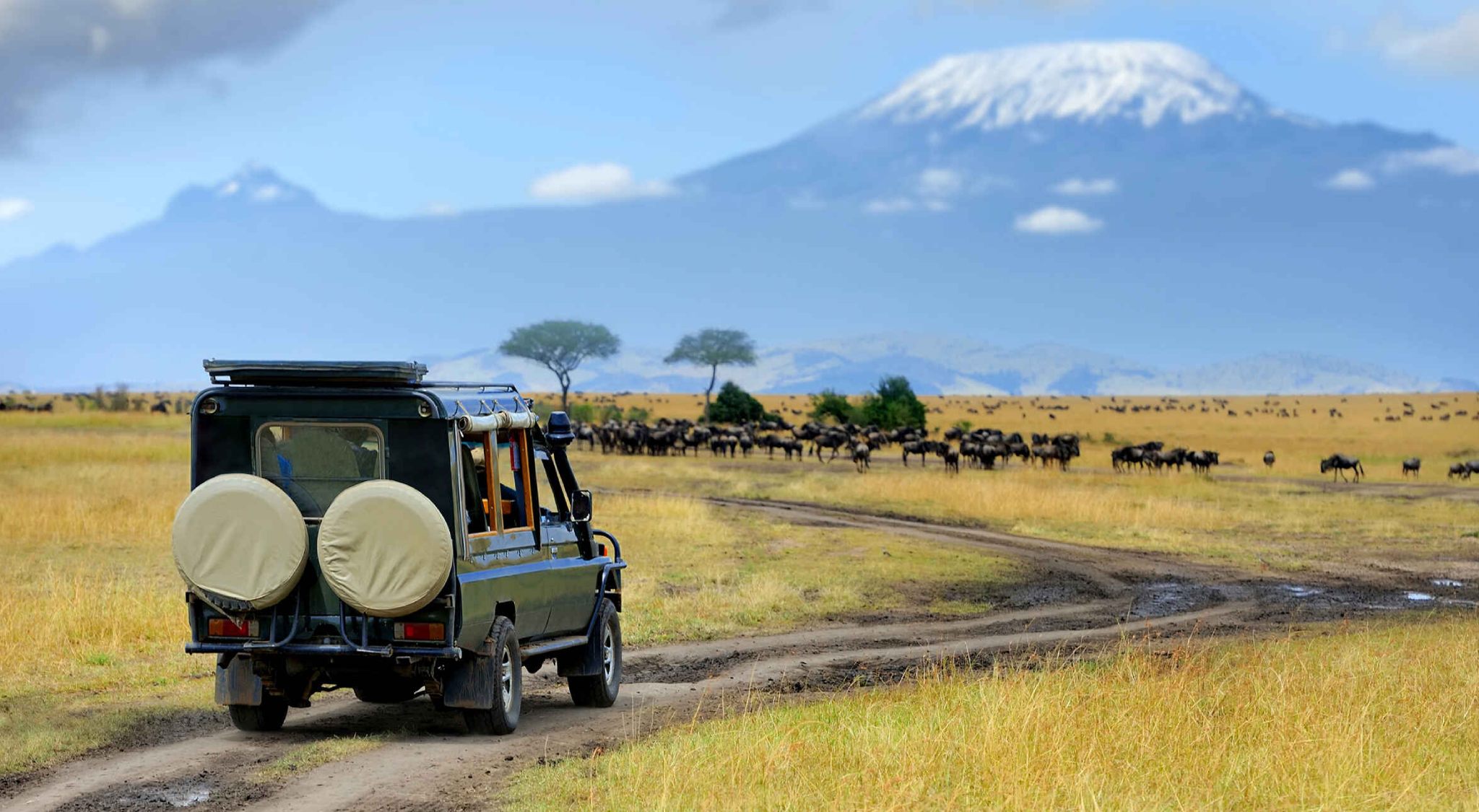 Get to Kilimanjaro National Park
