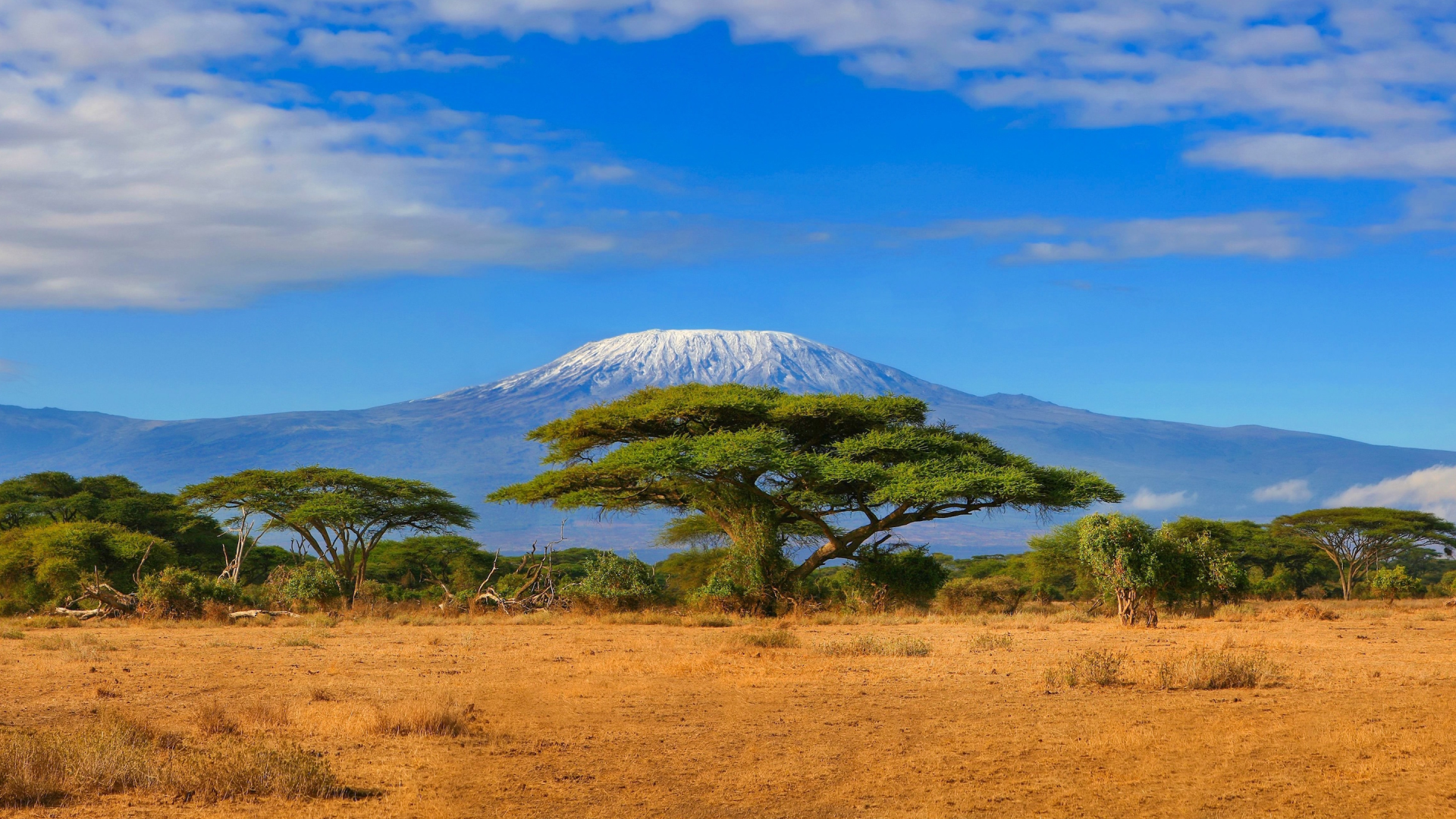 Kilimanjaro National Park