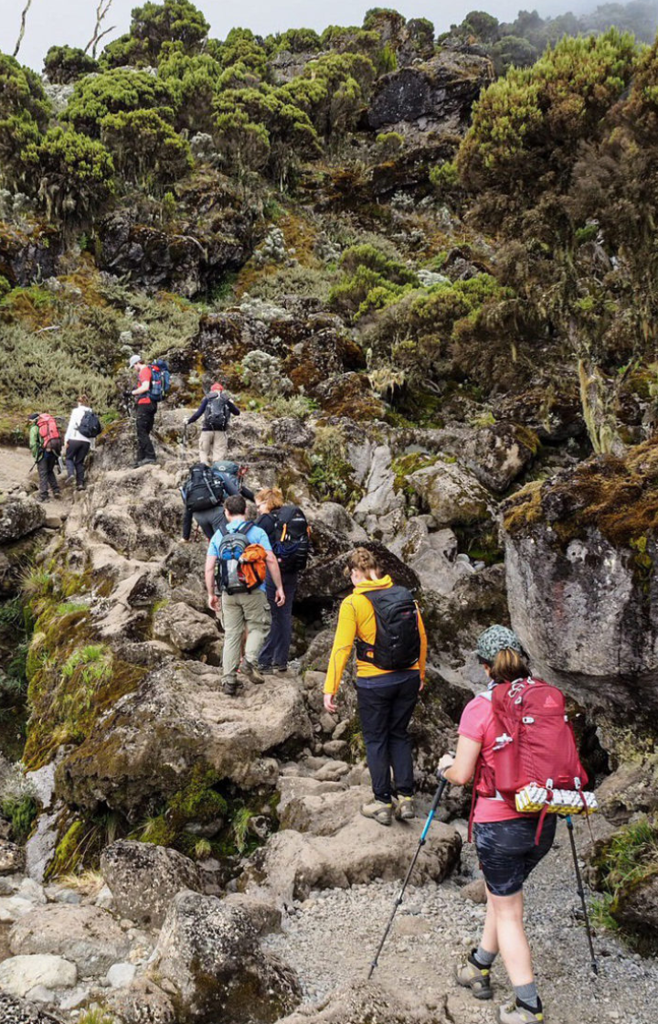 Climbing Mount Kilimanjaro in Kilimanjaro National Park 
