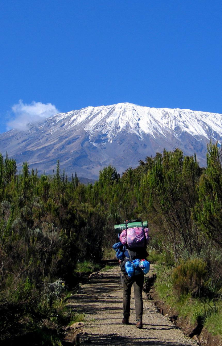 Lower-Slope Wildlife Walks in Kilimanjaro National Park