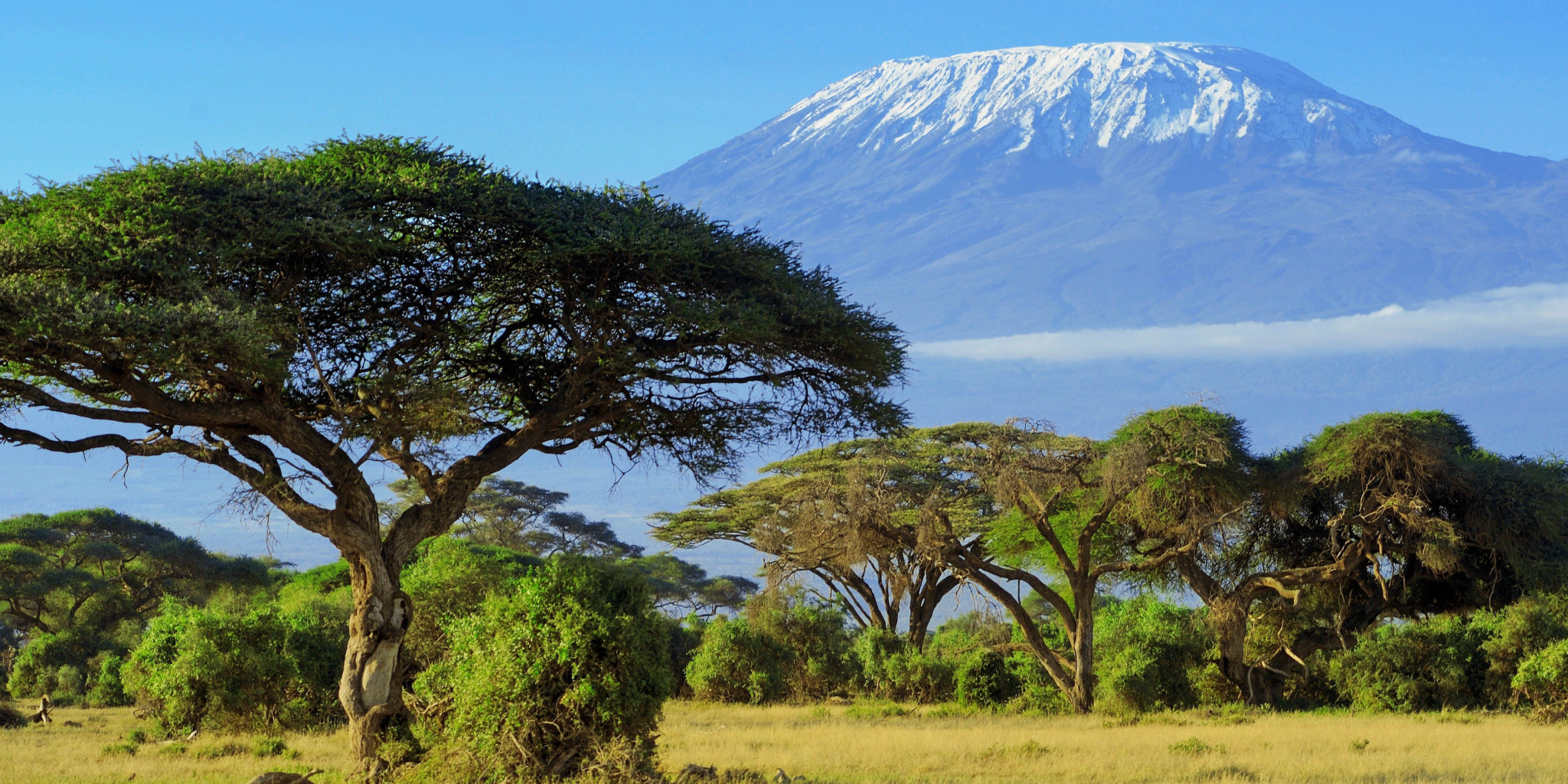 Kilimanjaro National Park