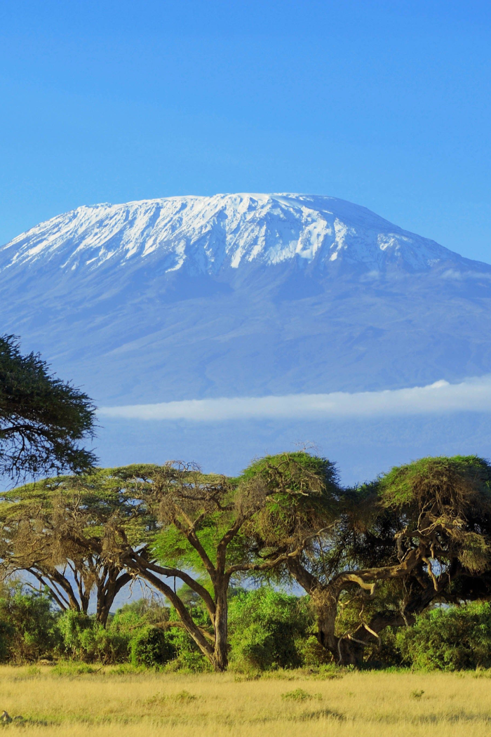 Tanzania Destinations Kilimanjaro National Park