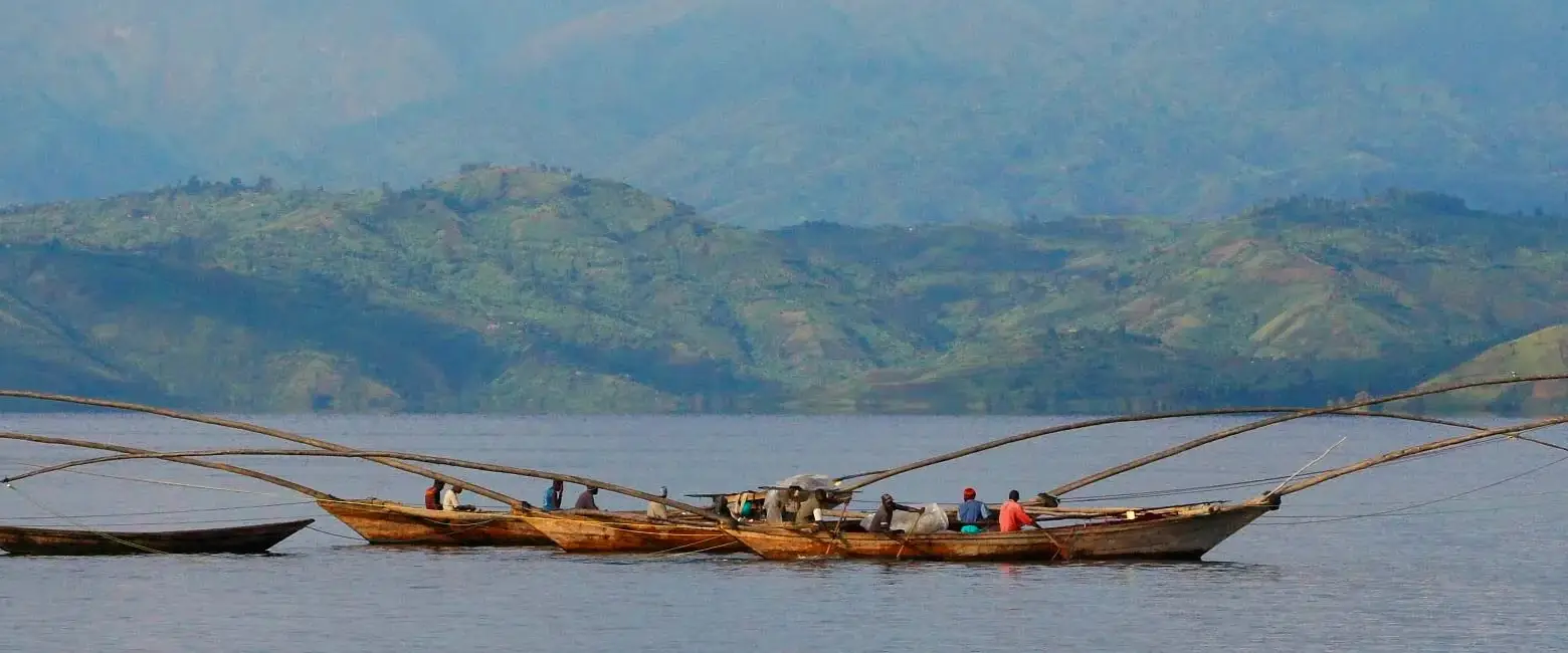 Lake Kivu Wildlife