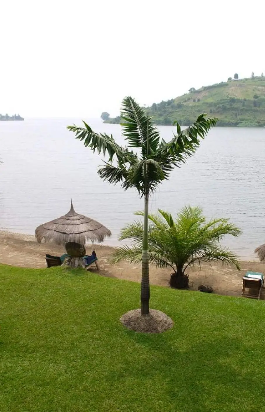 Lake Kivu Attraction