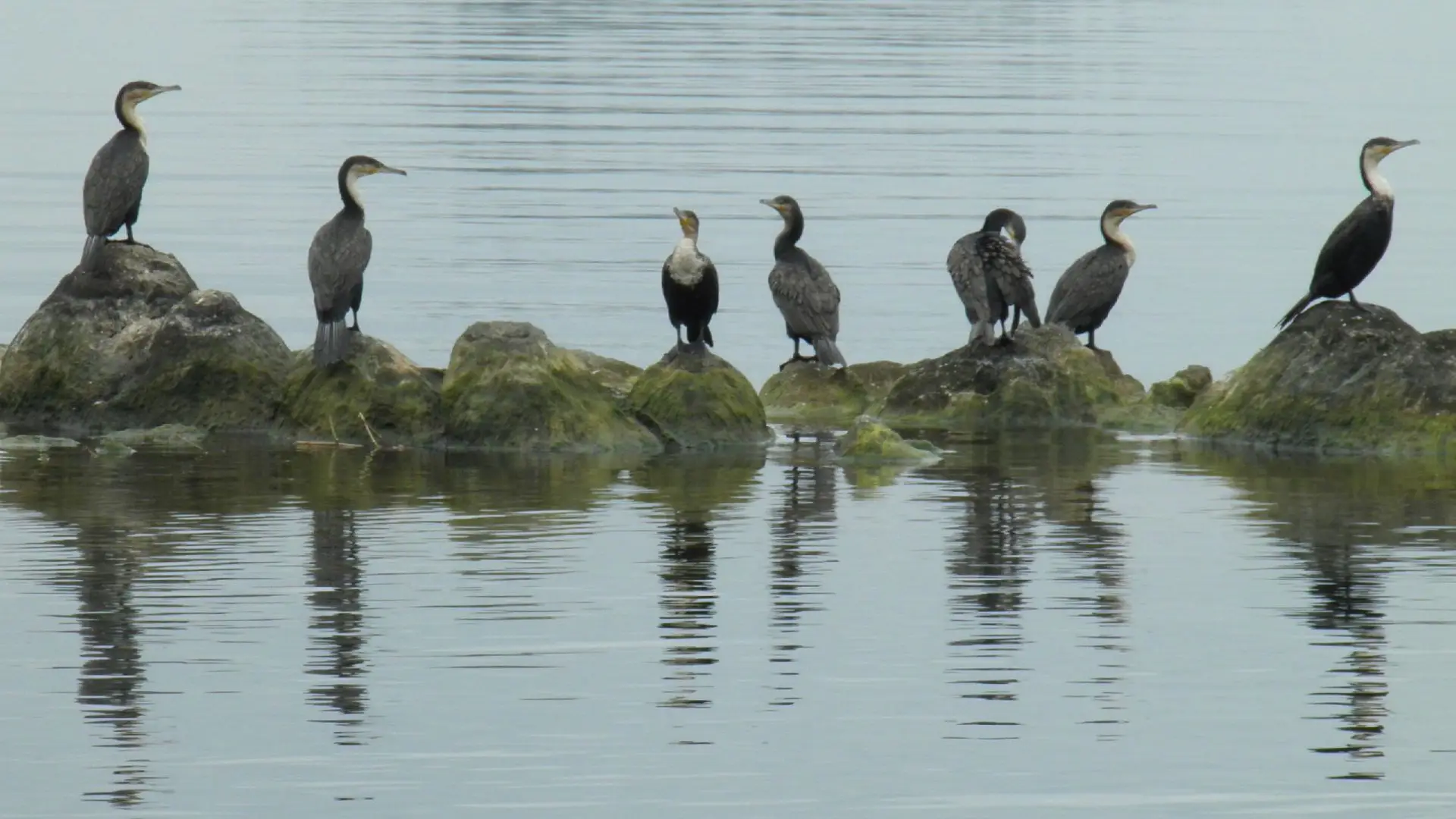 Lake Kivu Attraction