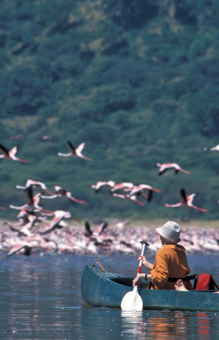 Lake Manyara National Park Canoeing Safaris (Seasonal)