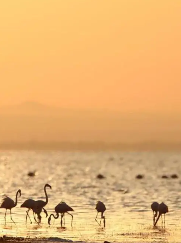Dry Season in Lake Manyara National Park