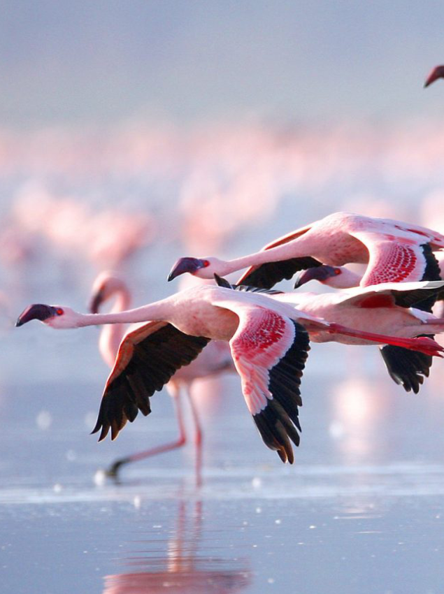 Wet Season in Lake Manyara National Park