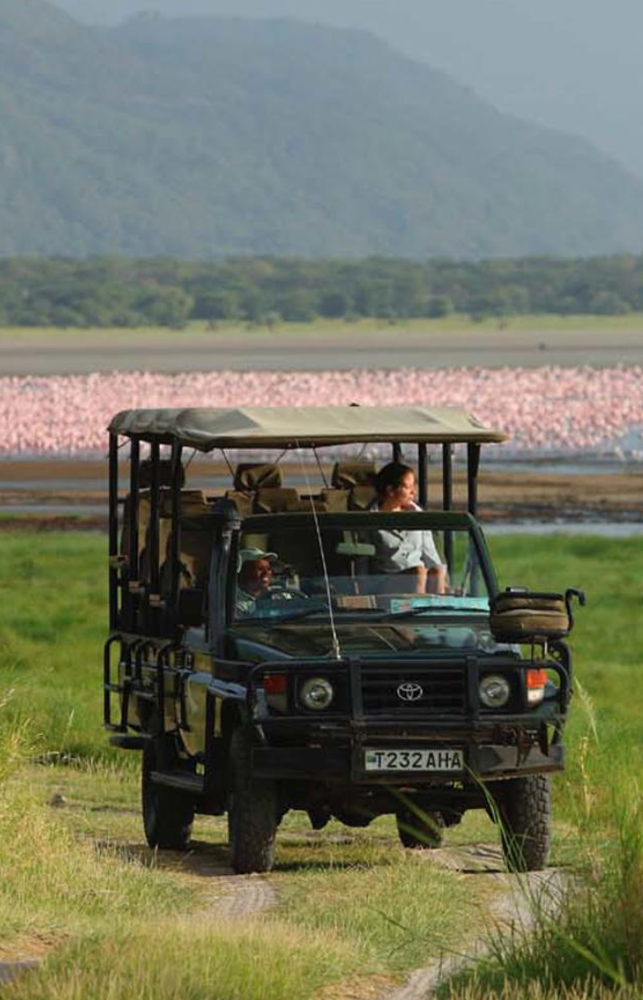Lake Manyara National Park Game Drives