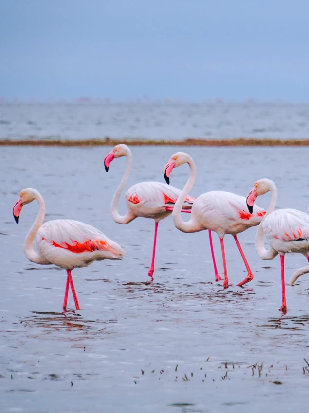 Lake Nakuru National Park Wet Season
