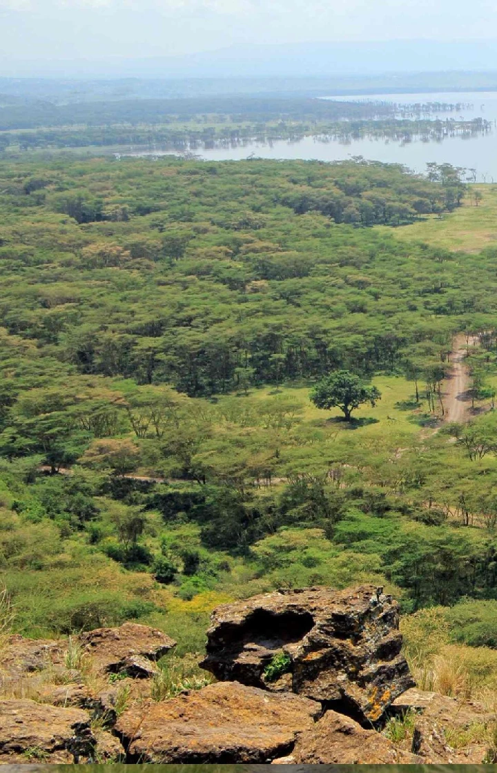 Baboon Cliff Viewpoint