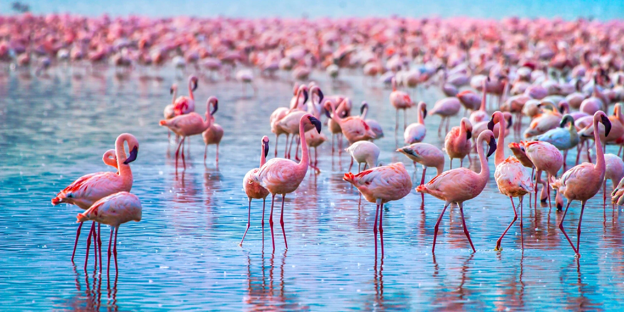 Lake Nakuru National Park