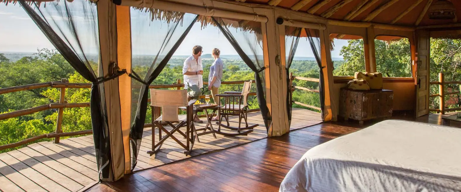 Luxury Safari view