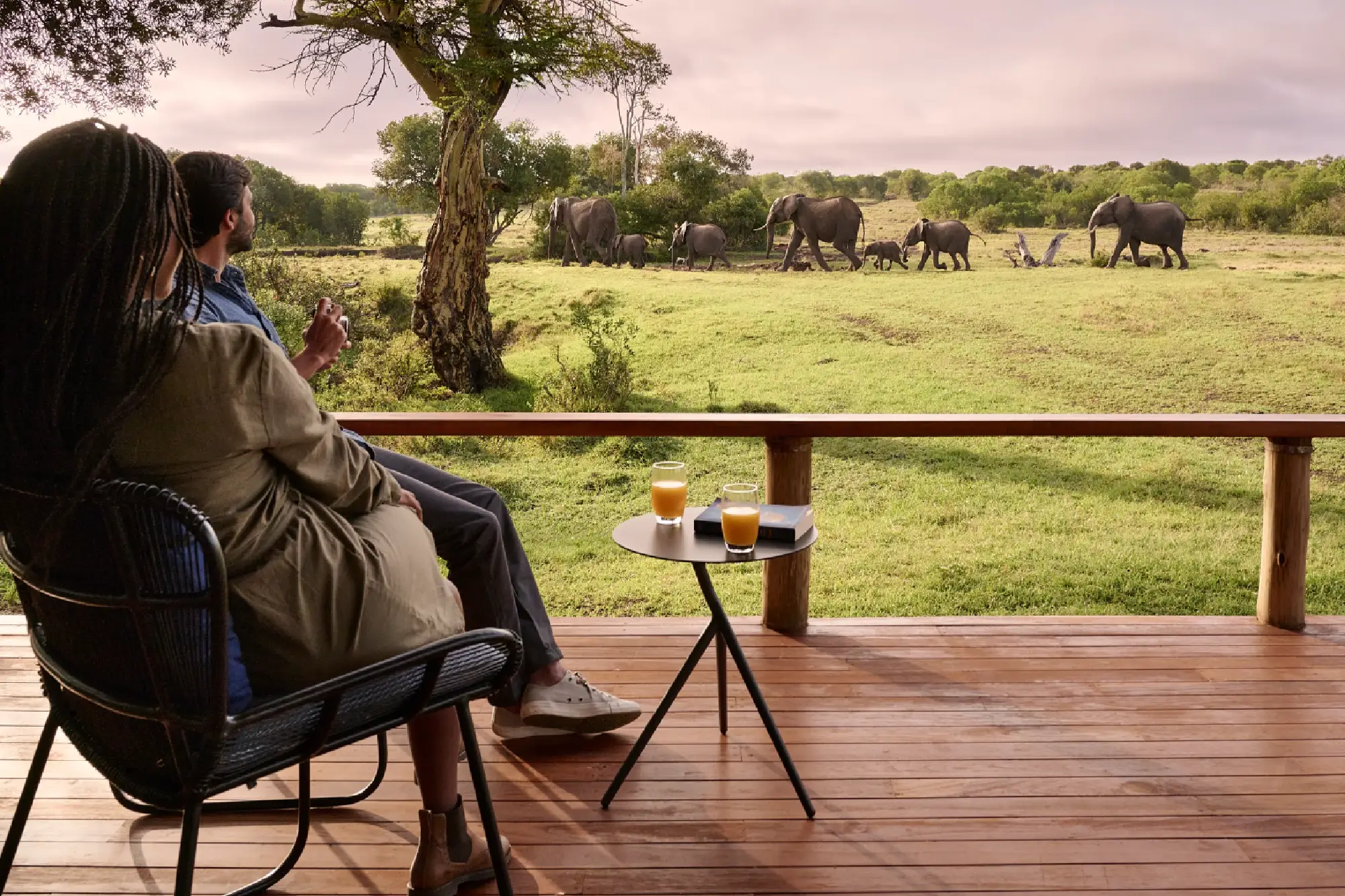 luxury safari wildlife