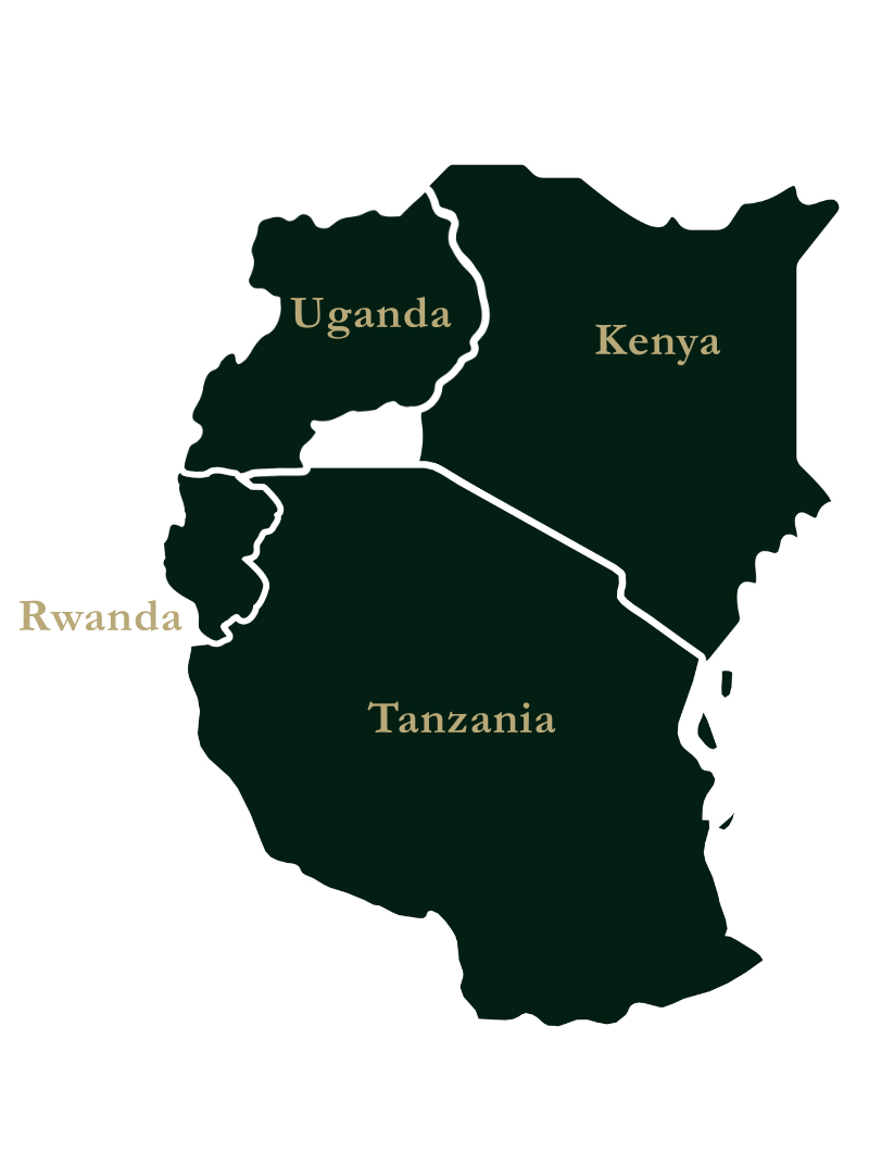 Melodica Africa Tours and Safaris