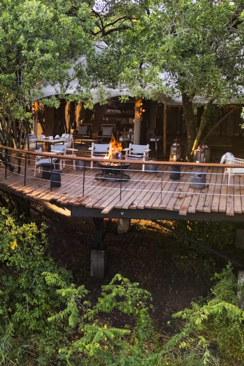 Mara Treetops Luxury Camp