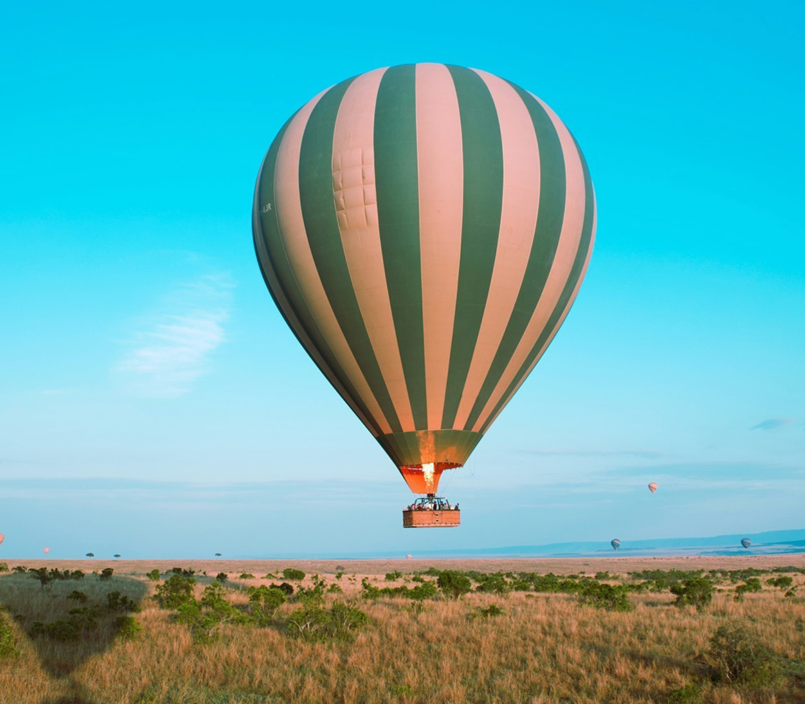 Masai Mara Immersive 4-Days Fly-In Safari Attractions