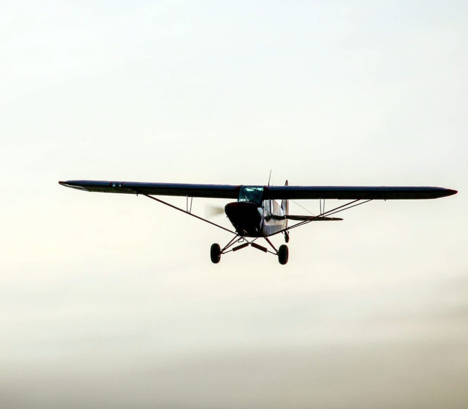 Masai Mara Immersive 4-Days Fly-In Safari Attractions