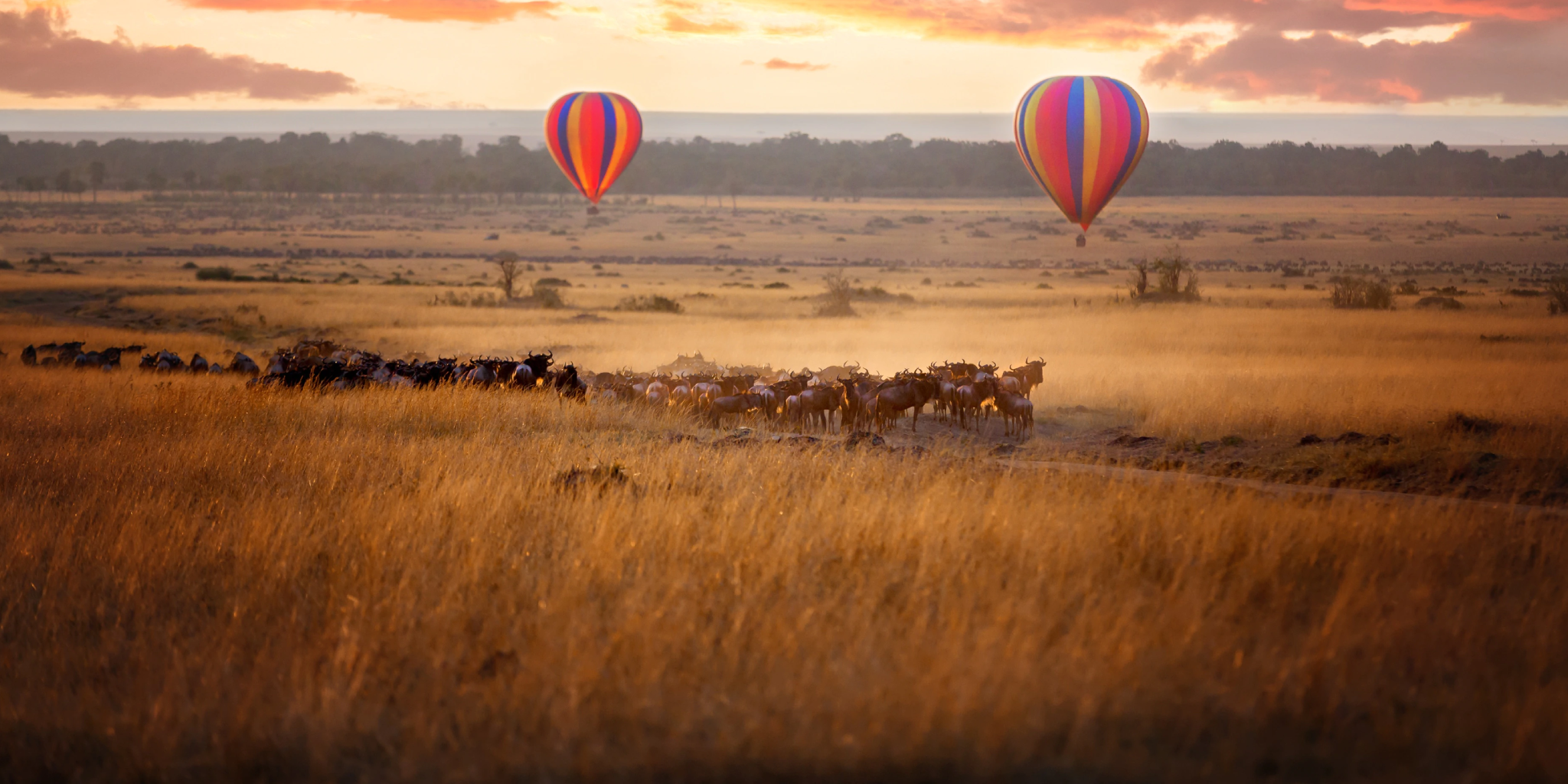 Masai Mara Immersive 4-Days Fly-In Safari