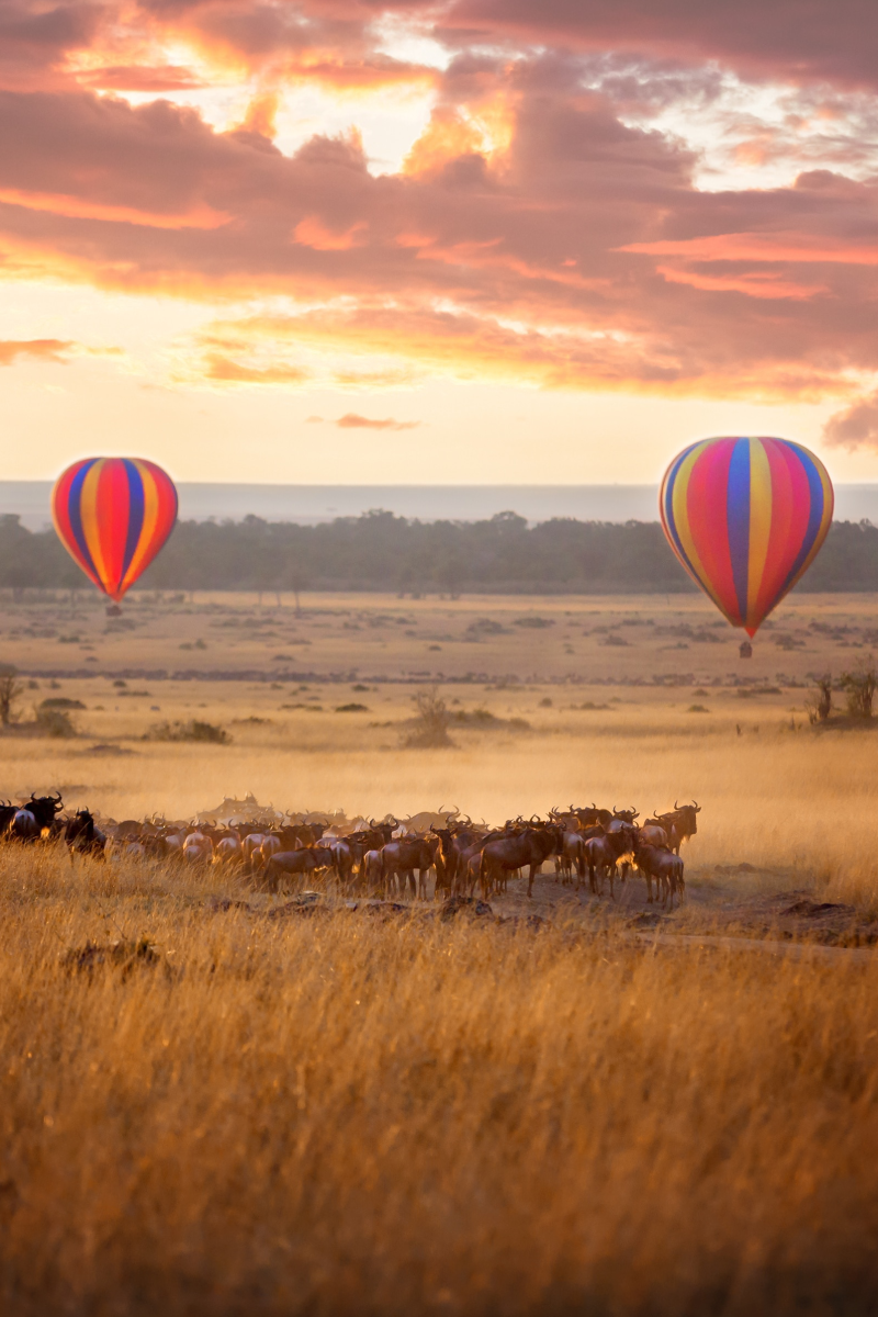 Masai Mara Immersive 4-Days Fly-In Safari