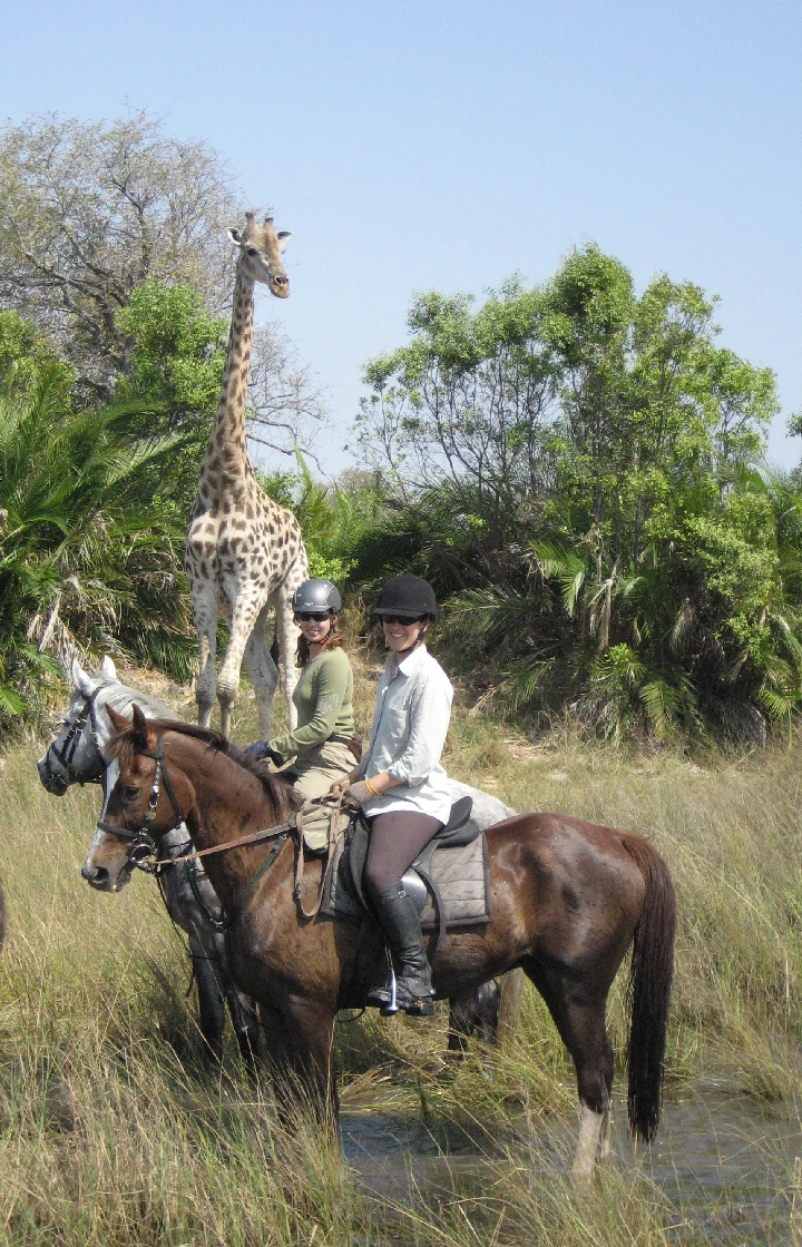 Masai Mara National Reserve Horseback Safaris