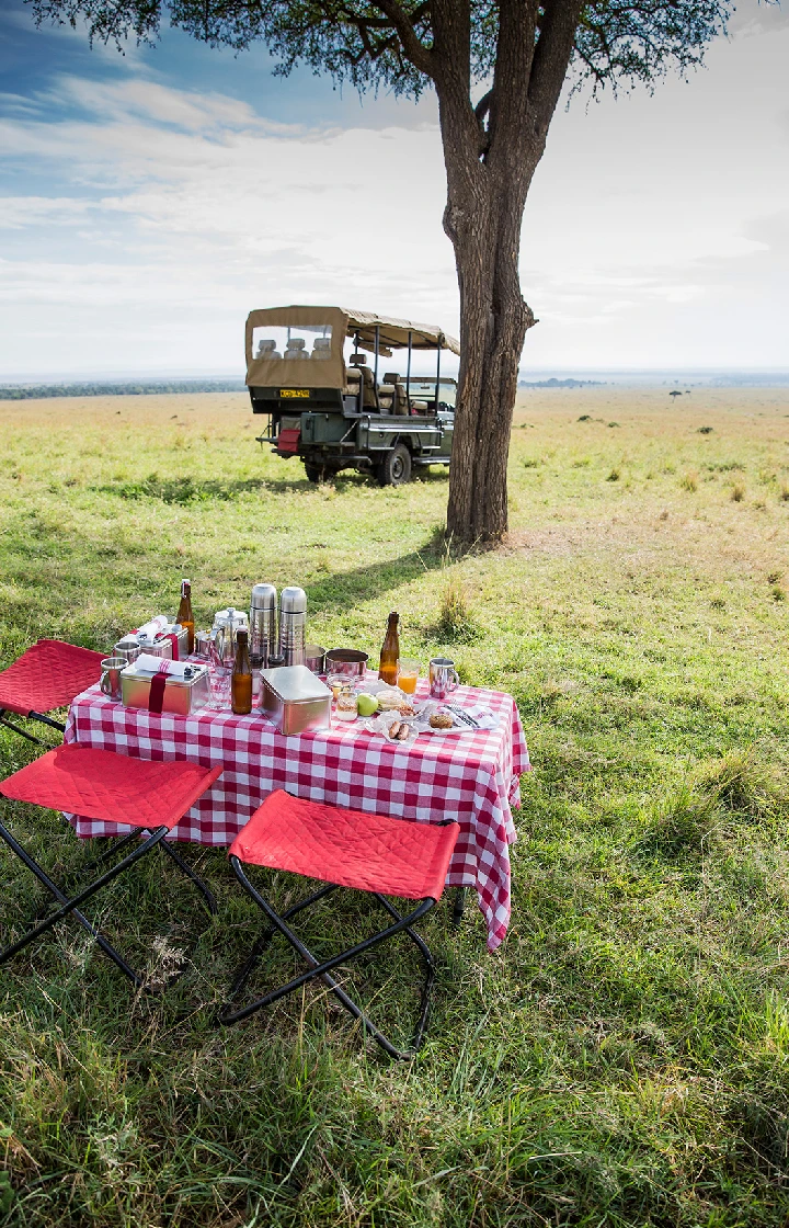 Bush Meals & Sundowners