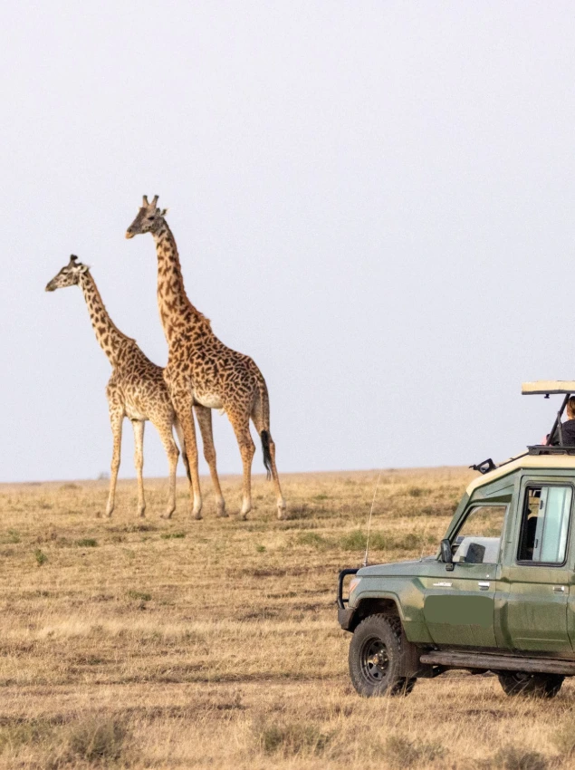 Masai Mara National Reserve Dry Season