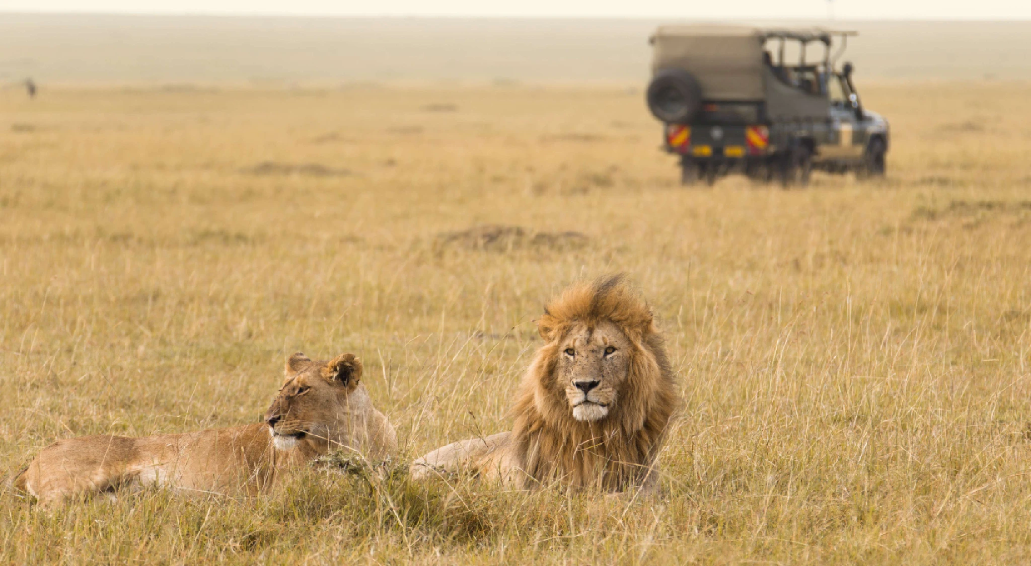 Get To Masai Mara National Reserve