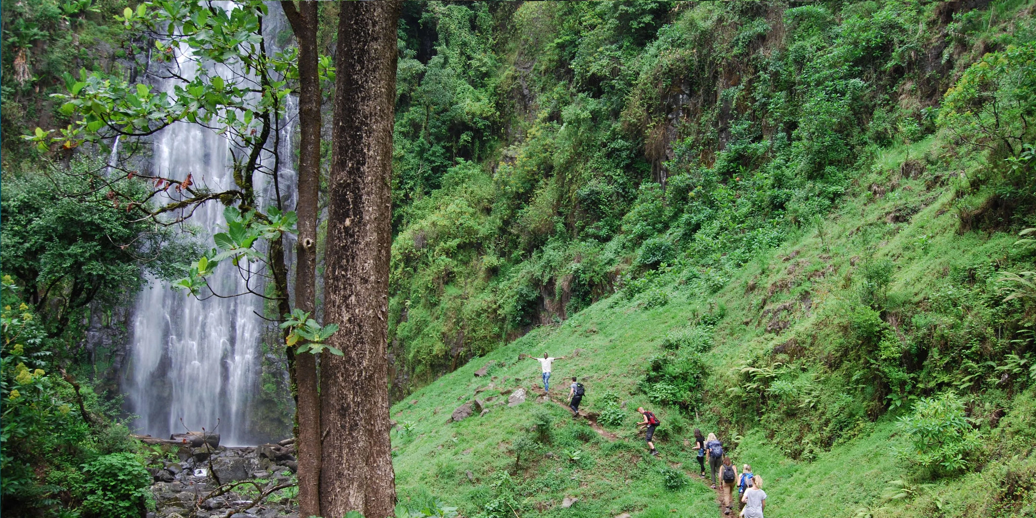 Materuni Waterfalls Day Trip