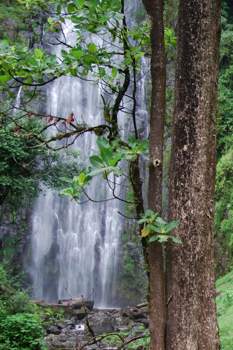 Materuni Waterfalls Day Trip