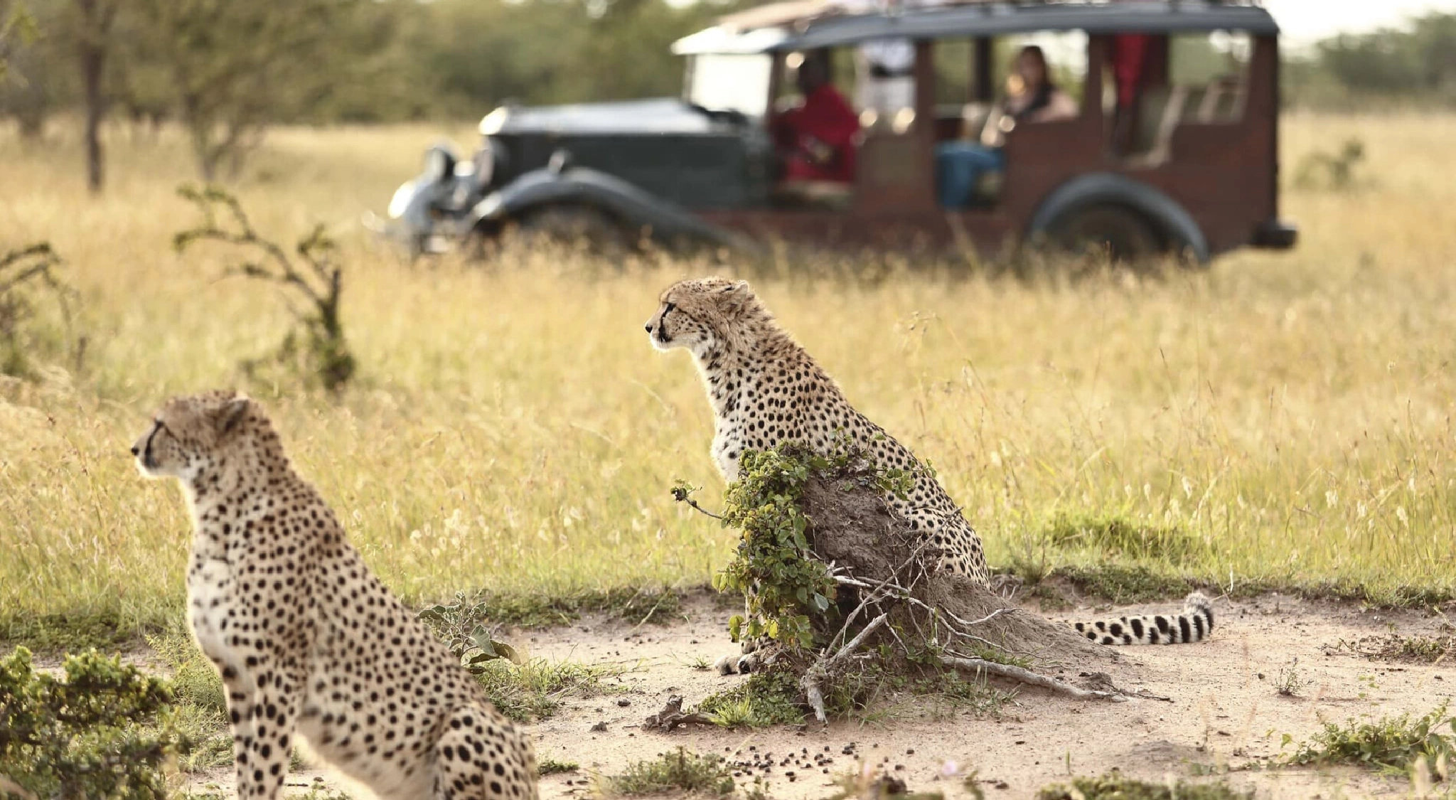  Go To Meru National Park