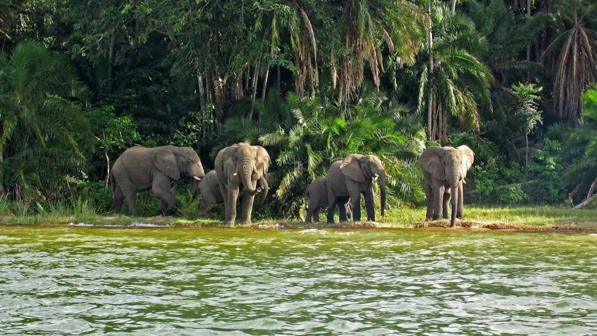 Meru National Park Attractions