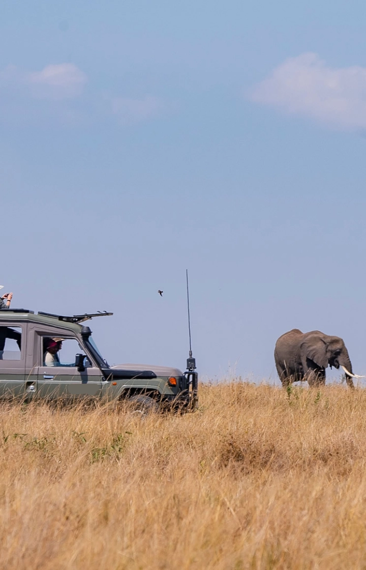 Meru National Park Game Drives