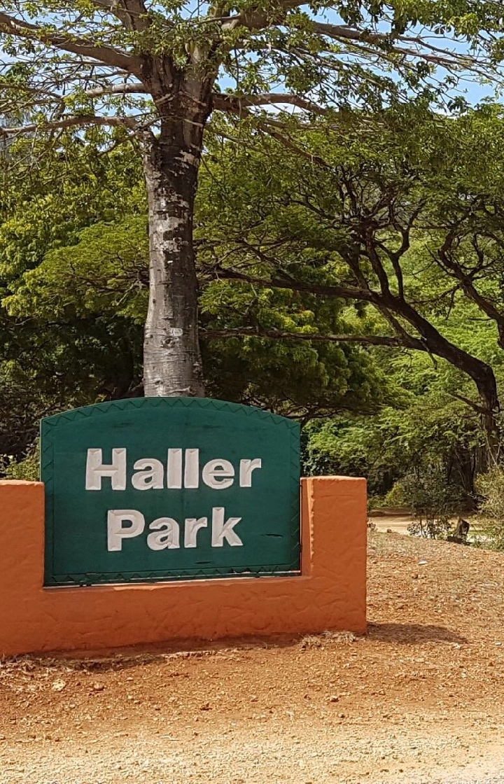 Mombasa Visit Haller Park