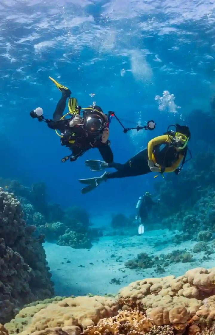 Mombasa Snorkeling and Diving