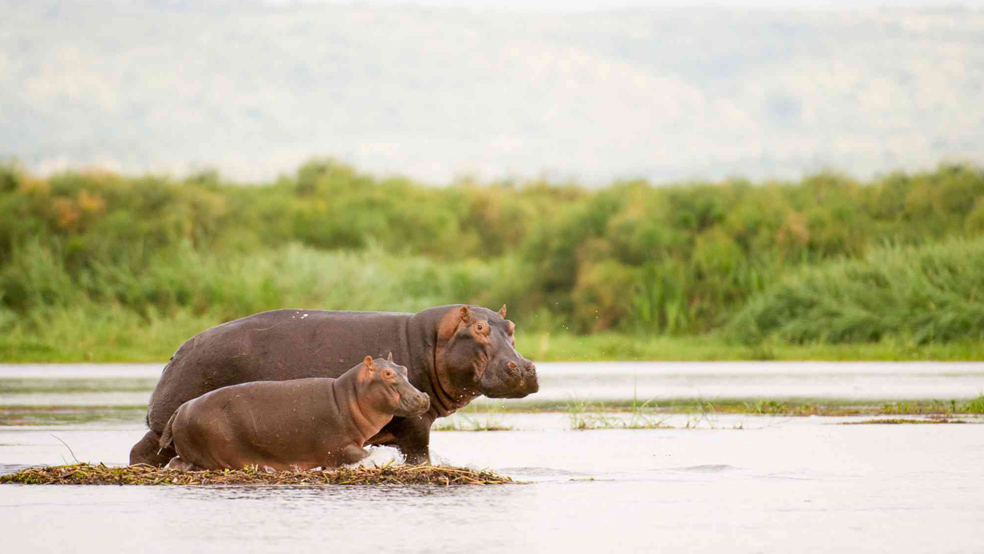 Murchison Falls National Park Attractions