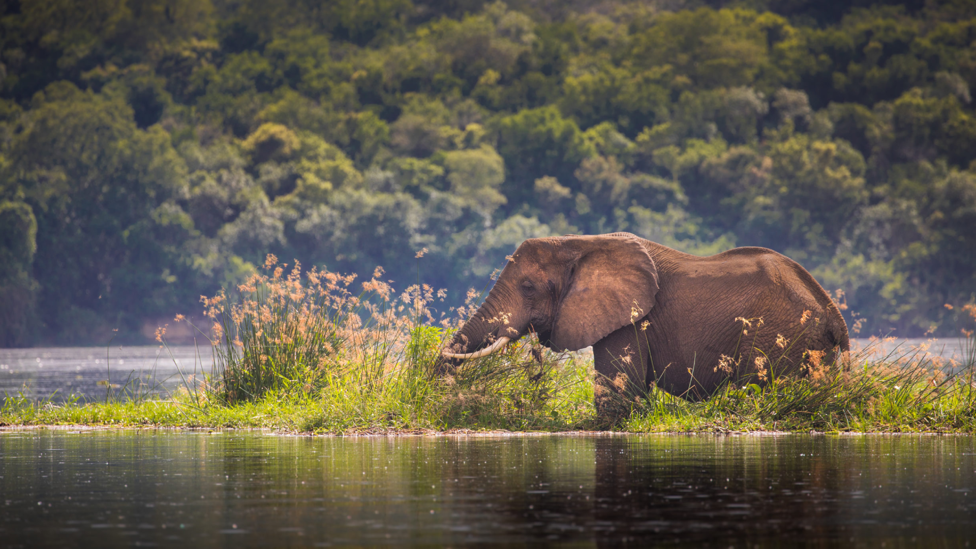 Murchison Falls National Park Attractions