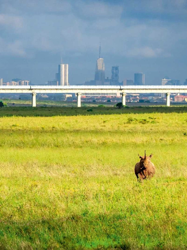 Nairobi National Park Wet Season