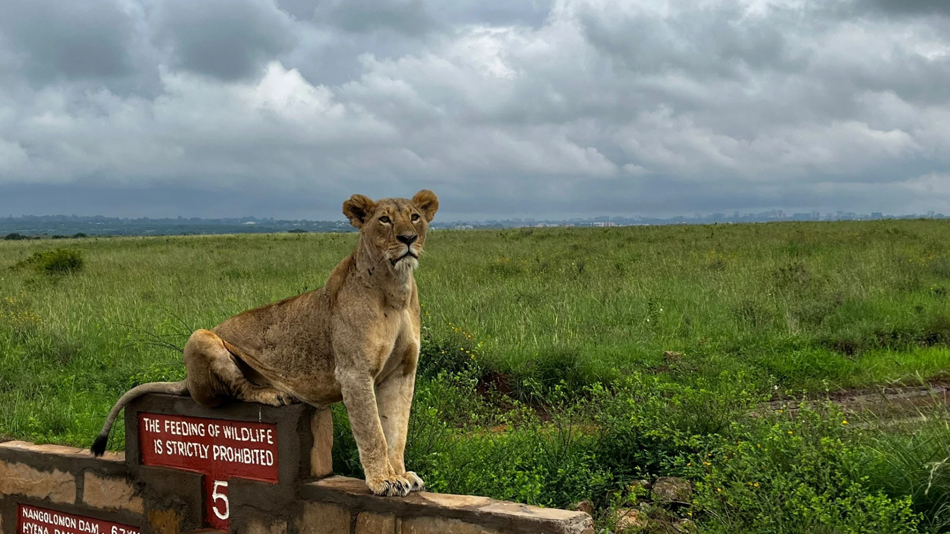Nairobi National Park Attraction