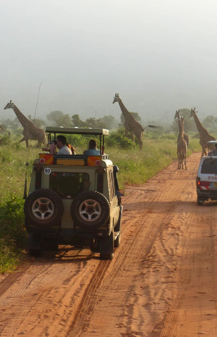 Nairobi National Park Game Viewing