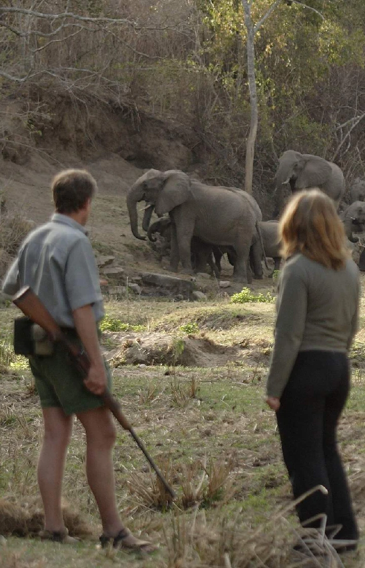 Nairobi National Park Safari Walk