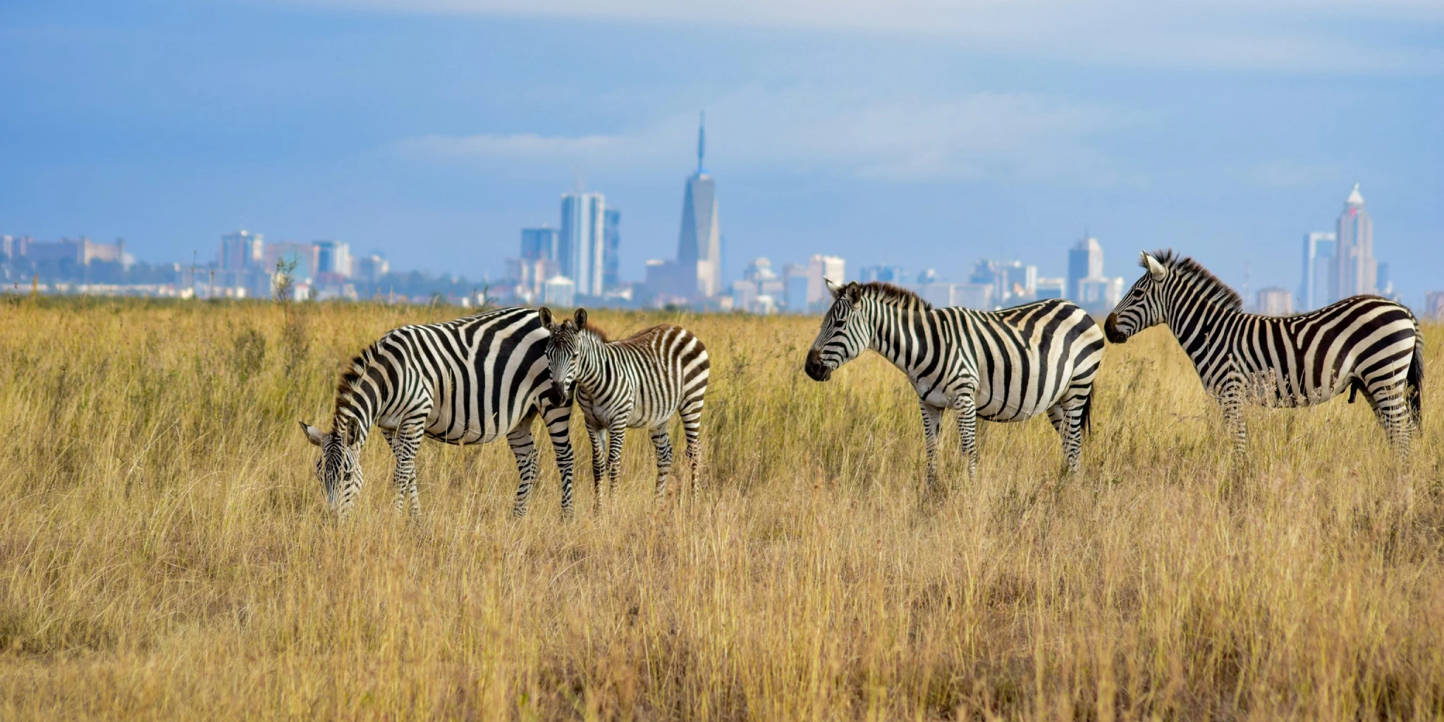 Nairobi National Park