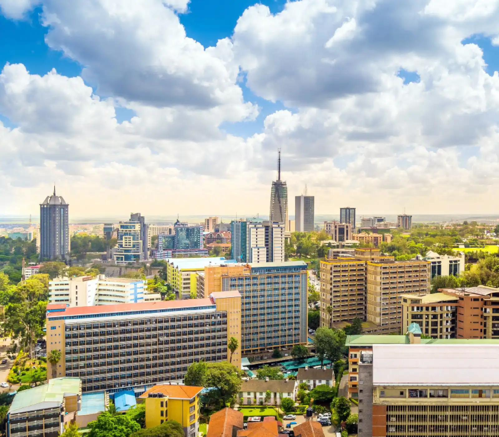 Nairobi National Park – Half-Day Safari Tours attractions