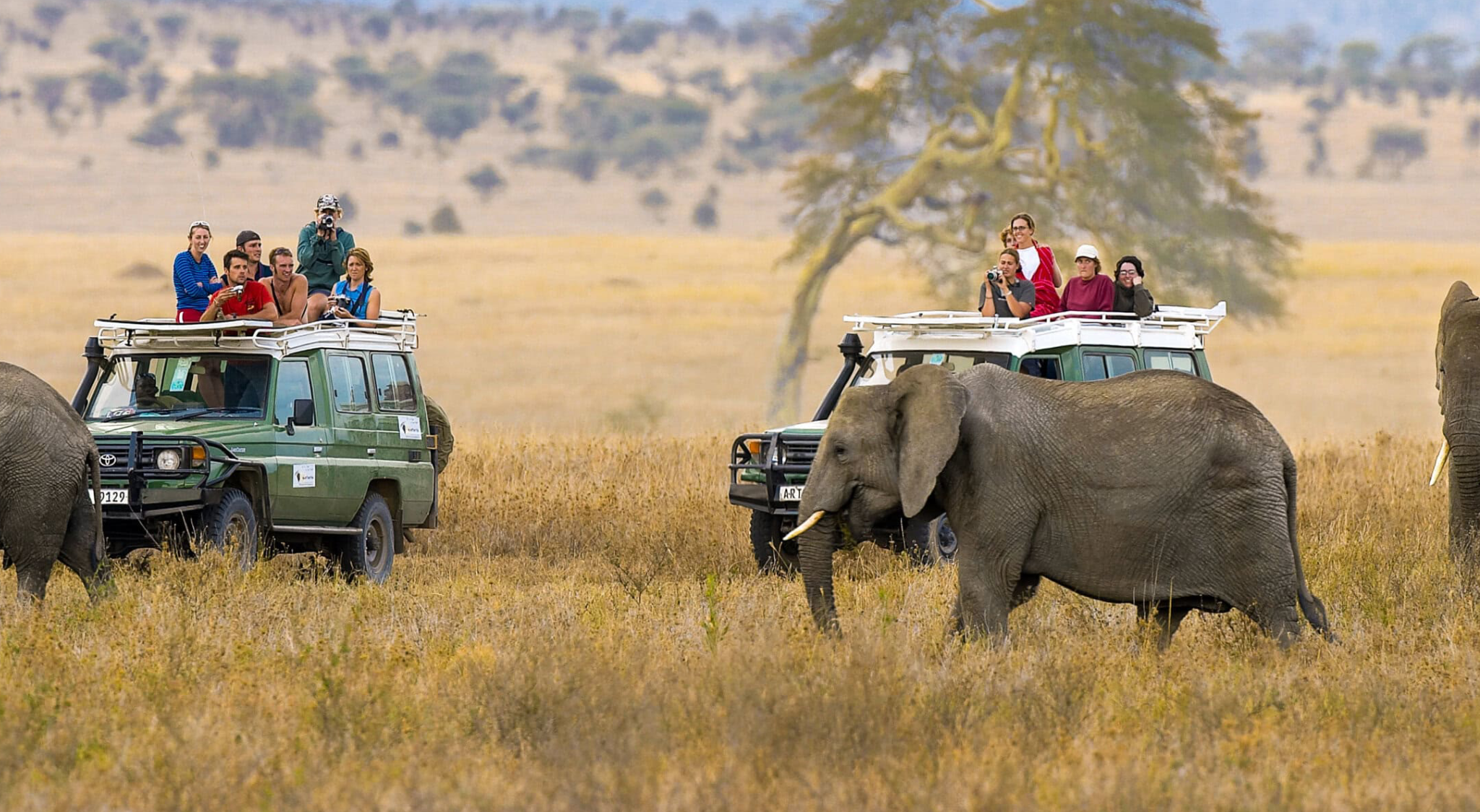 Get to Ngorongoro Crater