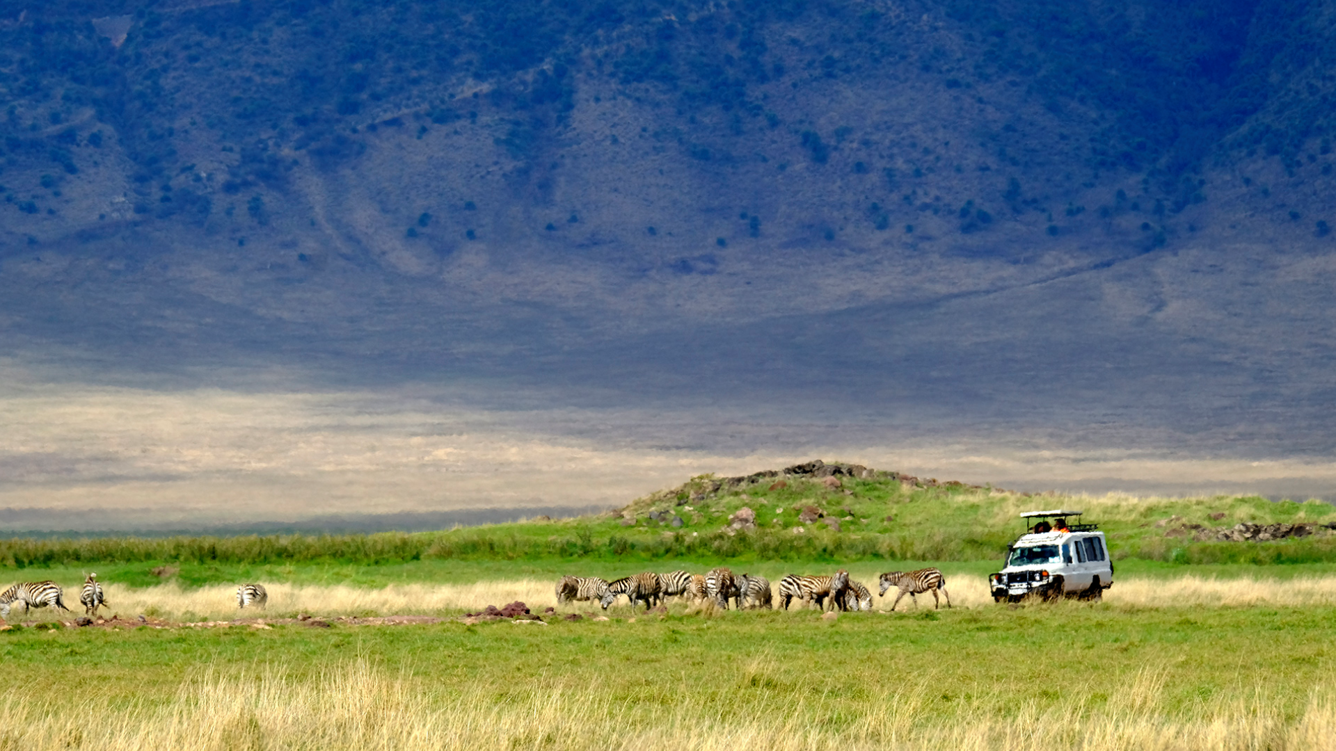 Ngorongoro Crater Game Drives