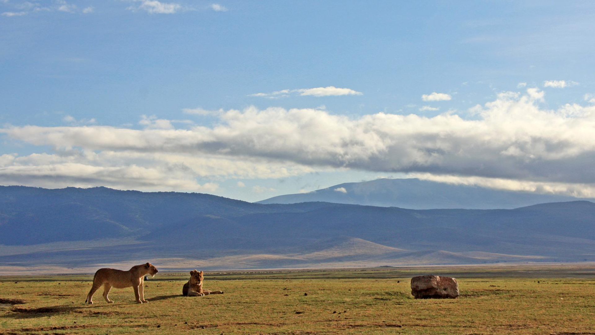 Ngorongoro Crater Big Five