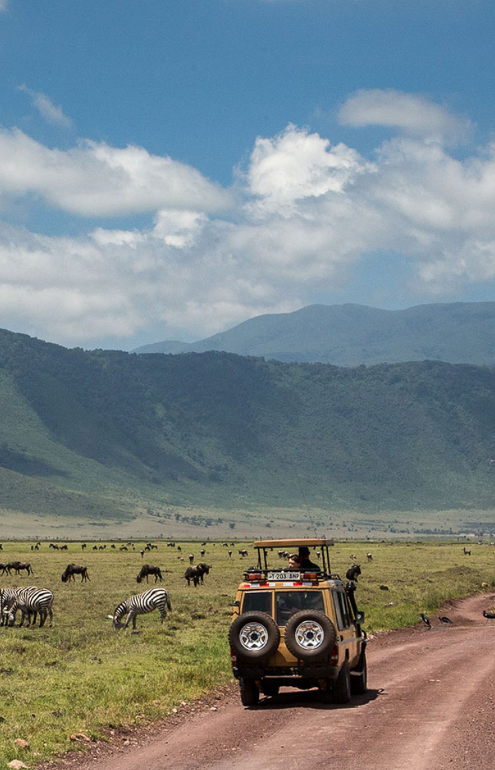 Ngorongoro Crater Game Drives