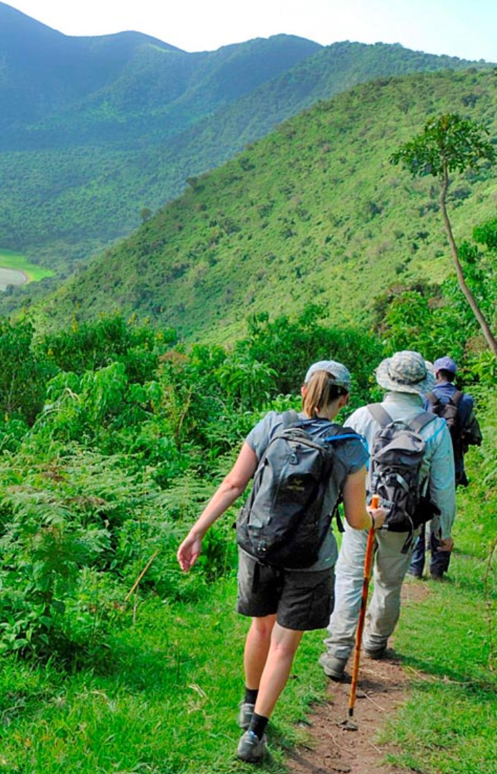 Ngorongoro Crater Rim Walks