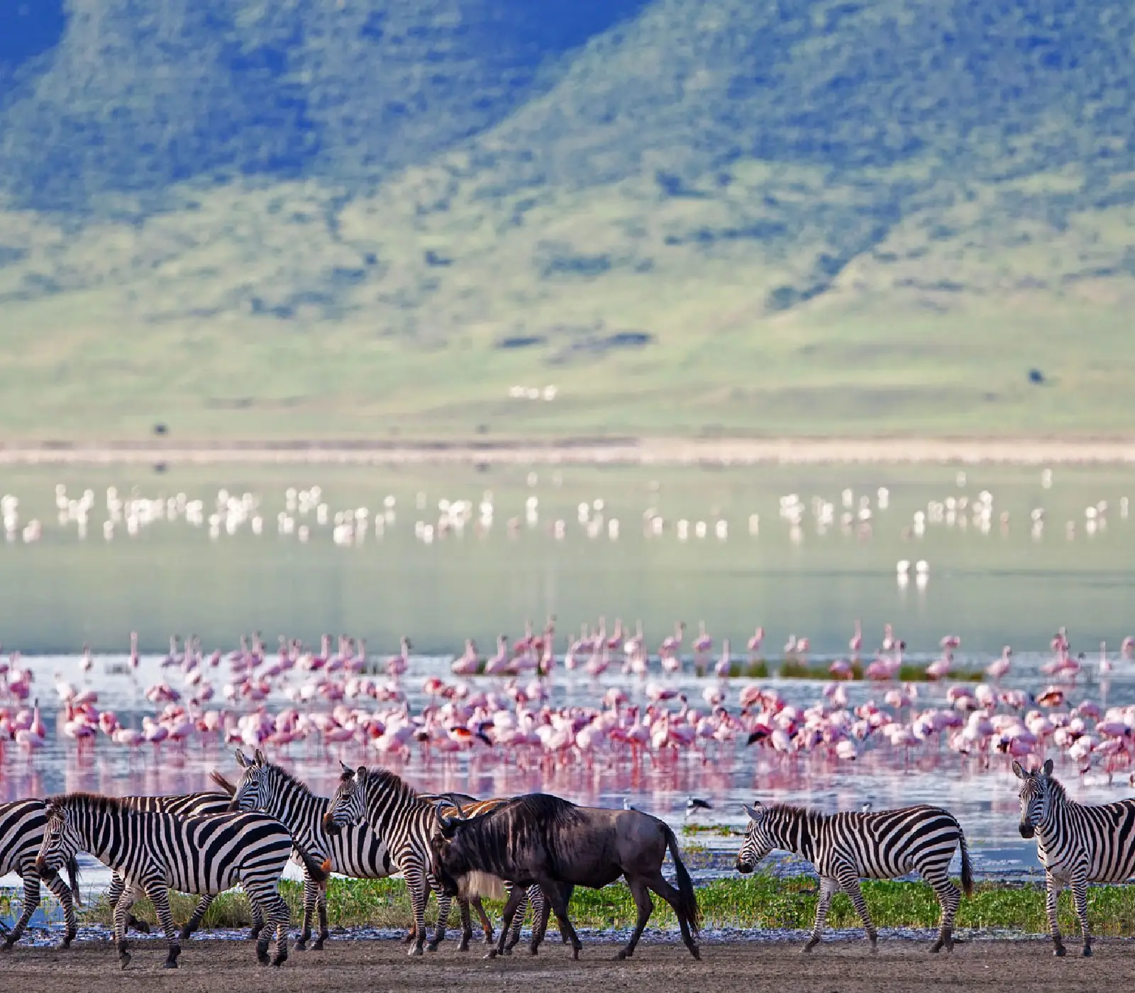 Ngorongoro Crater Day Trip Tour Attractions