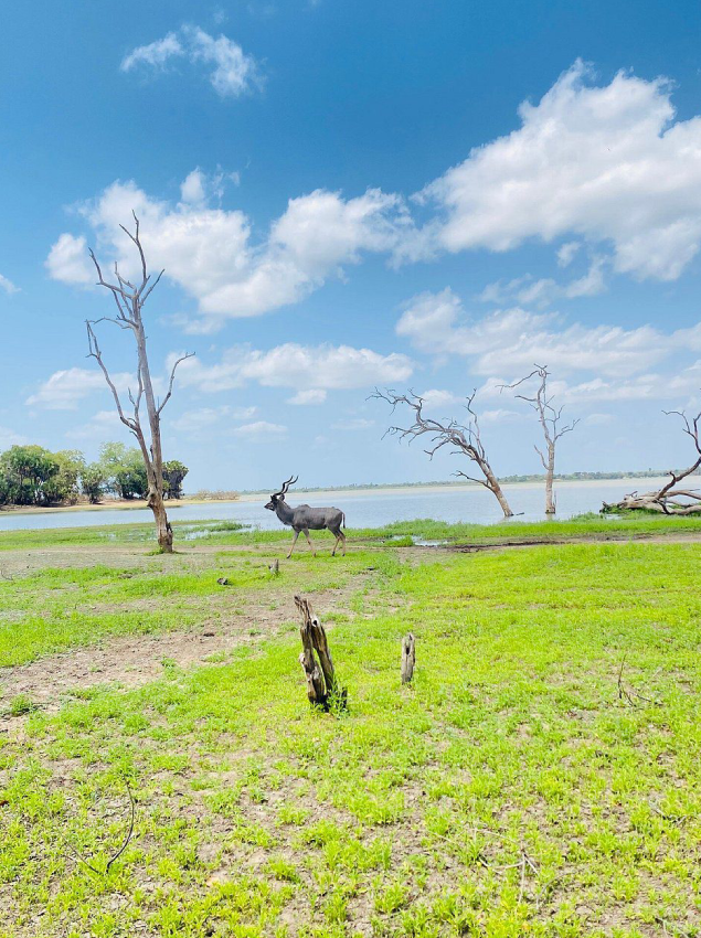 Dry Season in Nyerere National Park